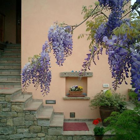 Il Glicine Bed & Breakfast San Dorligo della Valle Bagian luar foto