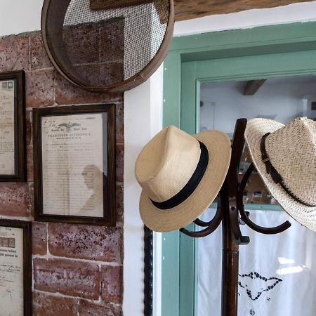Il Glicine Bed & Breakfast San Dorligo della Valle Bagian luar foto