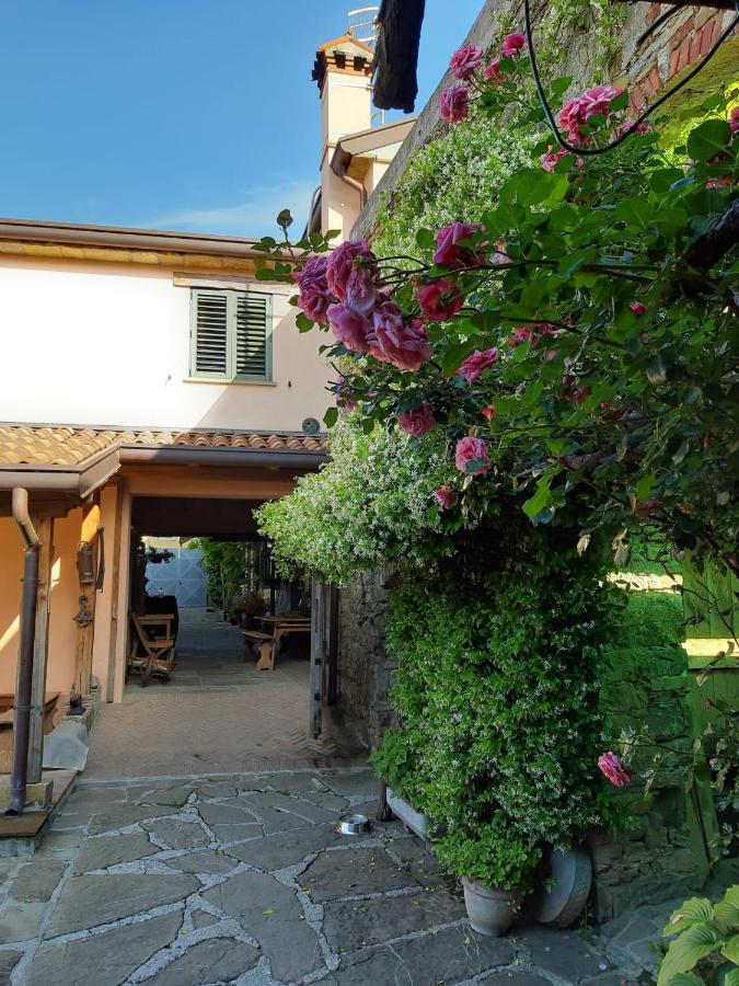 Il Glicine Bed & Breakfast San Dorligo della Valle Bagian luar foto