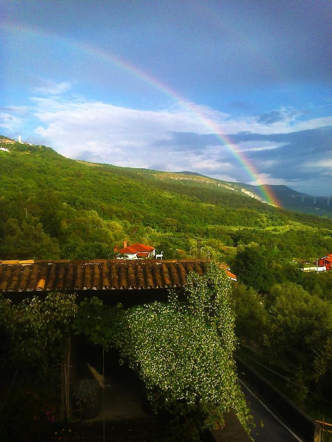 Il Glicine Bed & Breakfast San Dorligo della Valle Bagian luar foto