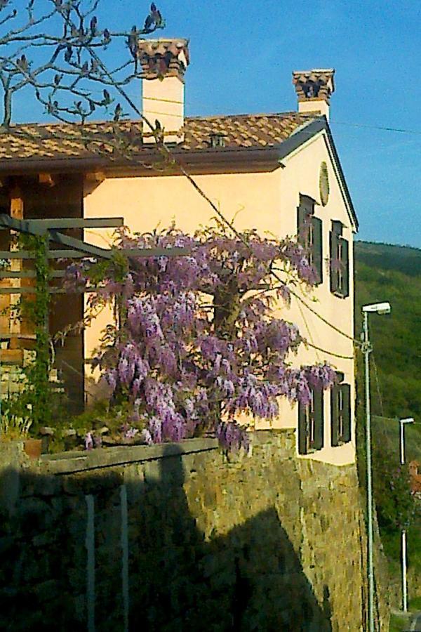 Il Glicine Bed & Breakfast San Dorligo della Valle Bagian luar foto