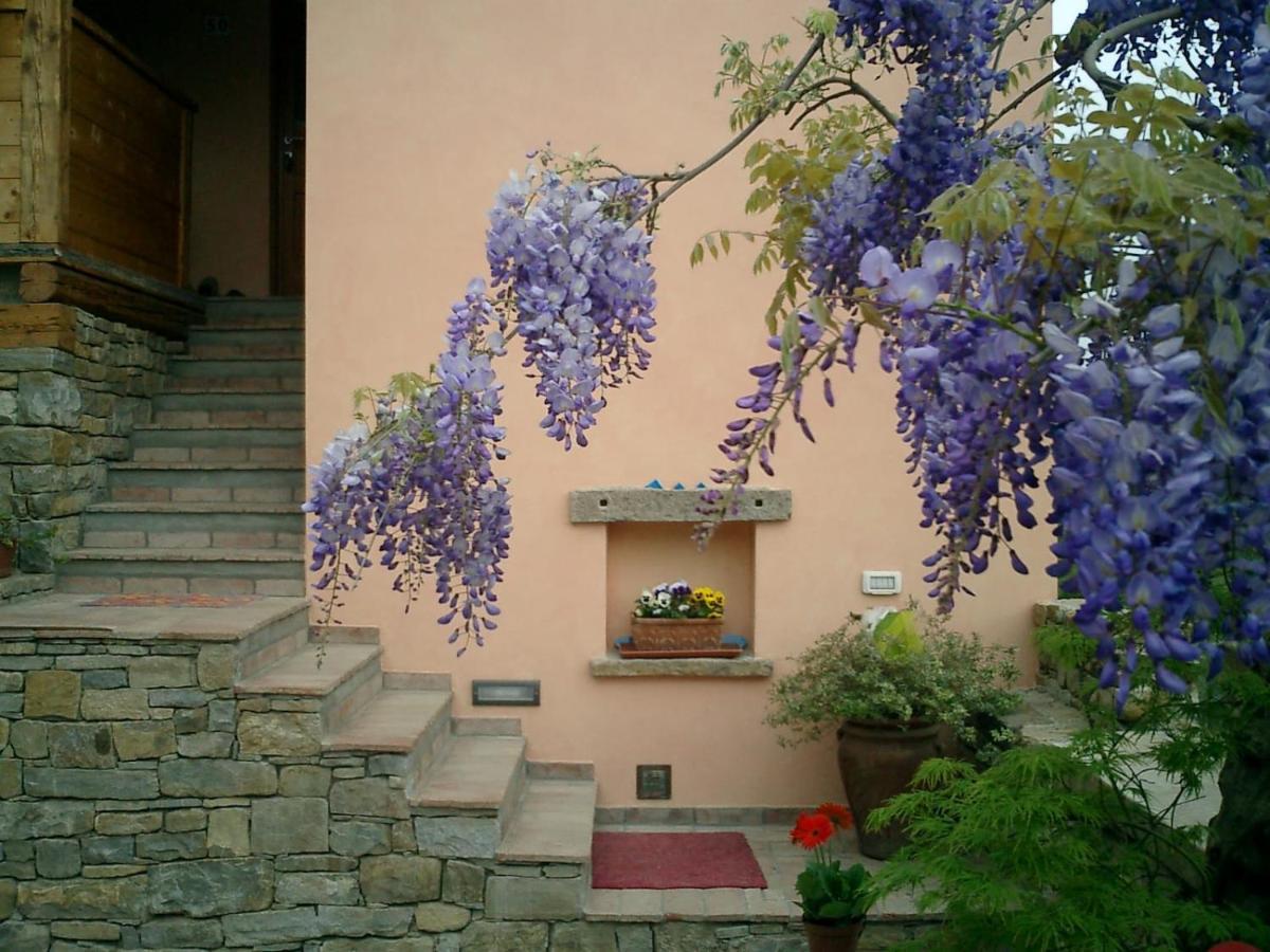 Il Glicine Bed & Breakfast San Dorligo della Valle Bagian luar foto