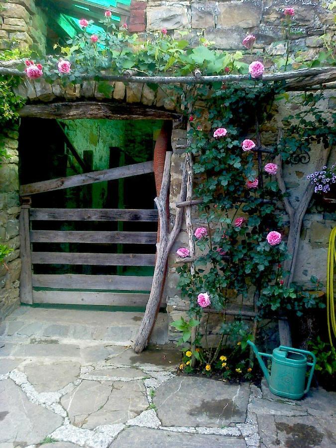 Il Glicine Bed & Breakfast San Dorligo della Valle Bagian luar foto