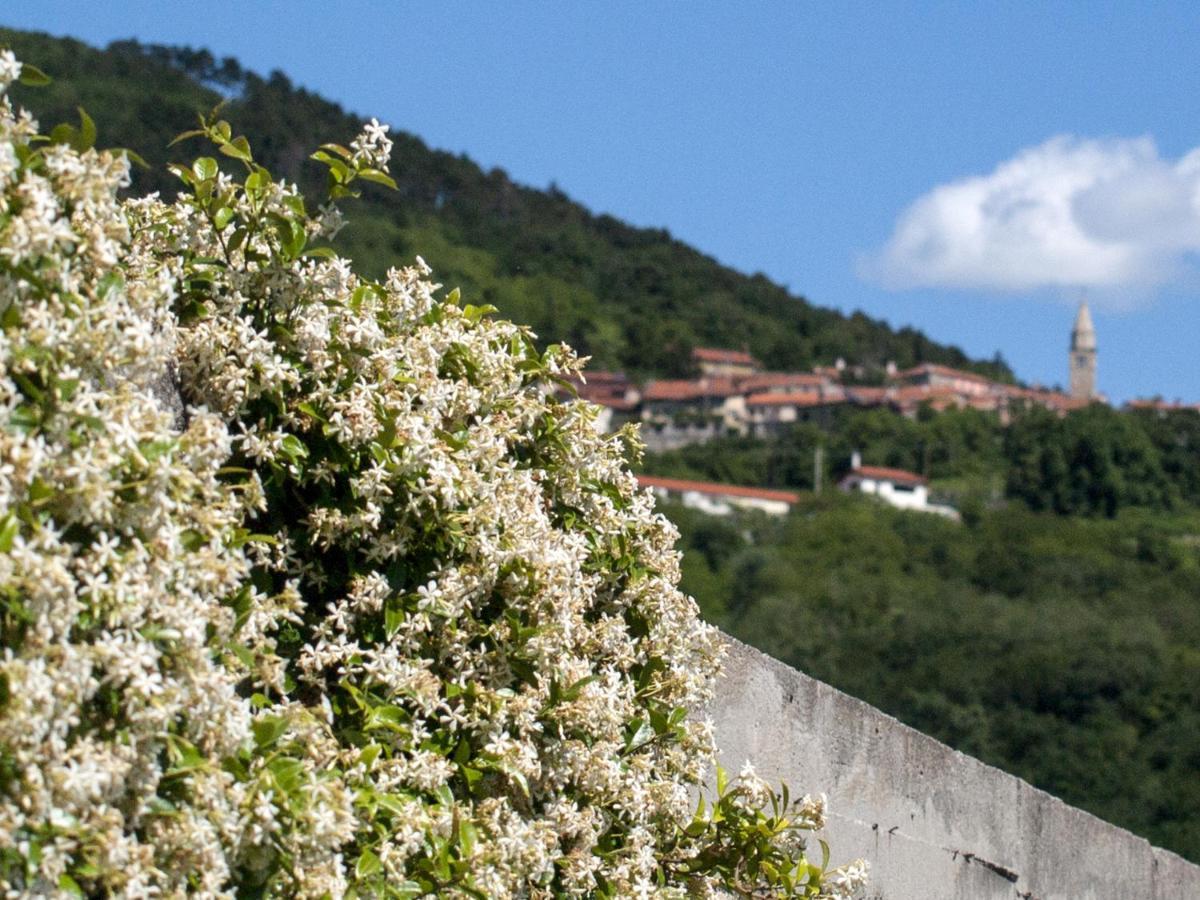 Il Glicine Bed & Breakfast San Dorligo della Valle Bagian luar foto