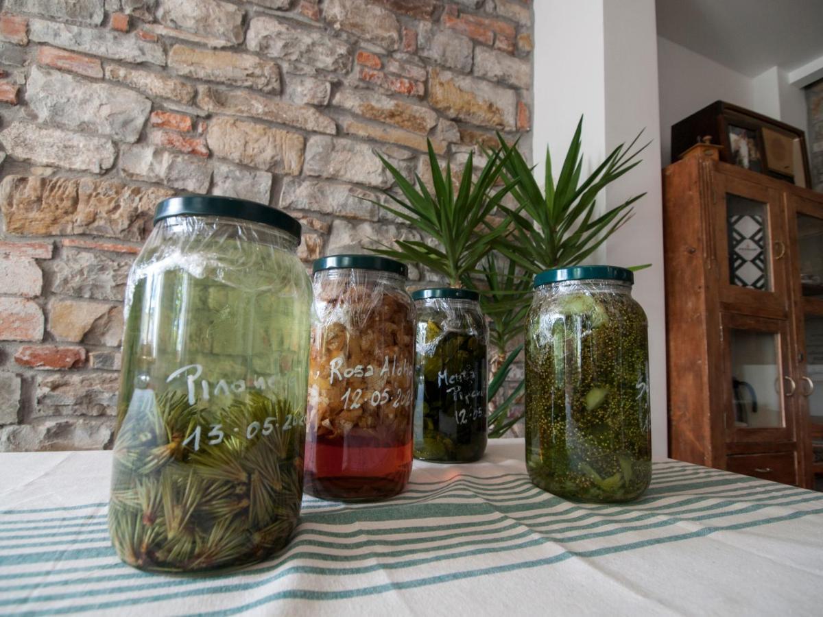 Il Glicine Bed & Breakfast San Dorligo della Valle Bagian luar foto