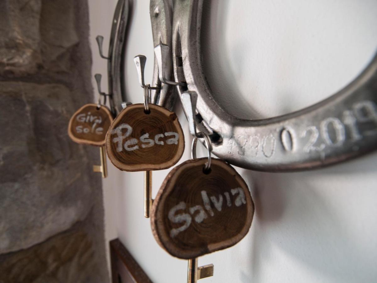 Il Glicine Bed & Breakfast San Dorligo della Valle Bagian luar foto