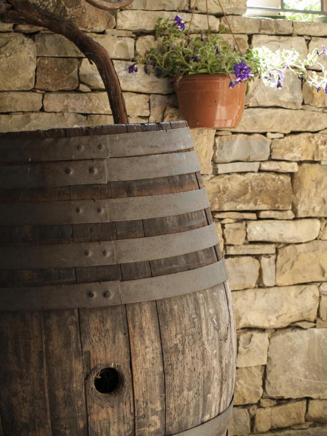 Il Glicine Bed & Breakfast San Dorligo della Valle Bagian luar foto